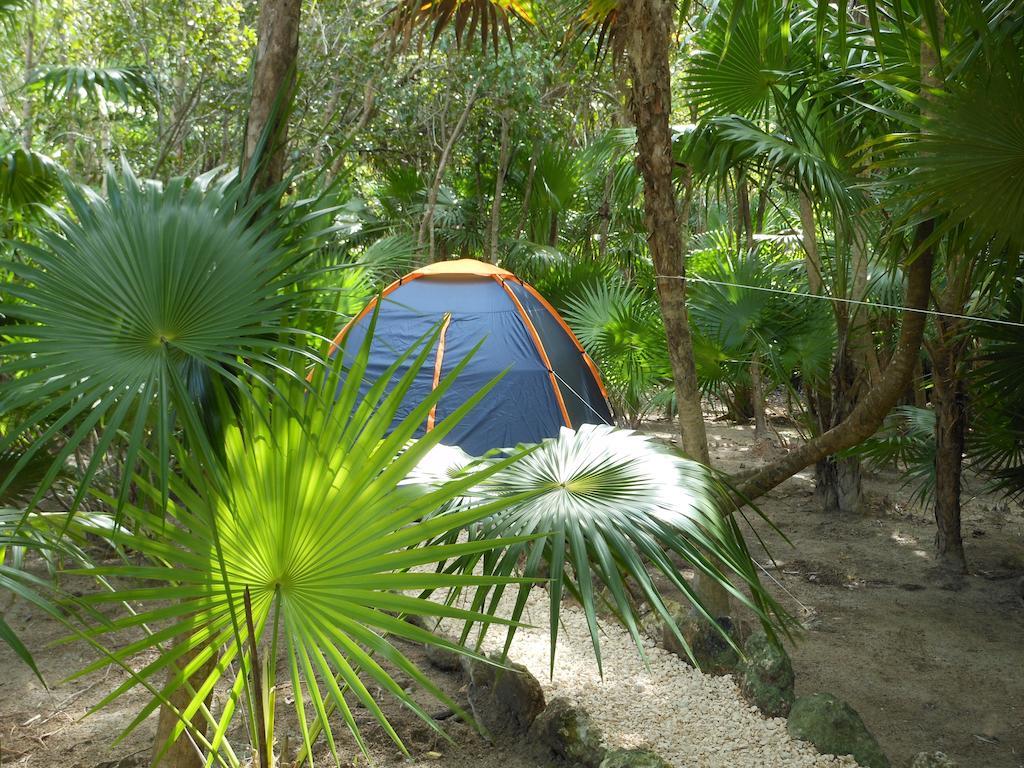 Hôtel Turquesa Tulum Jungle Camping Extérieur photo