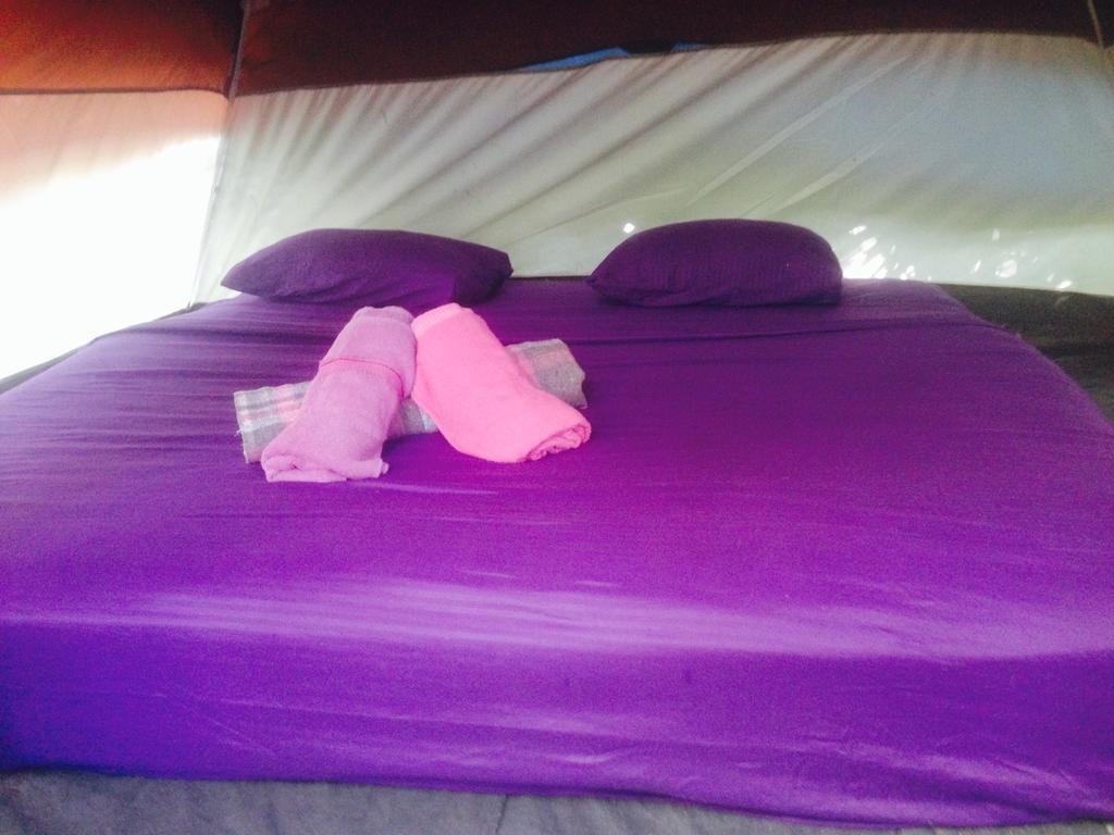 Hôtel Turquesa Tulum Jungle Camping Extérieur photo